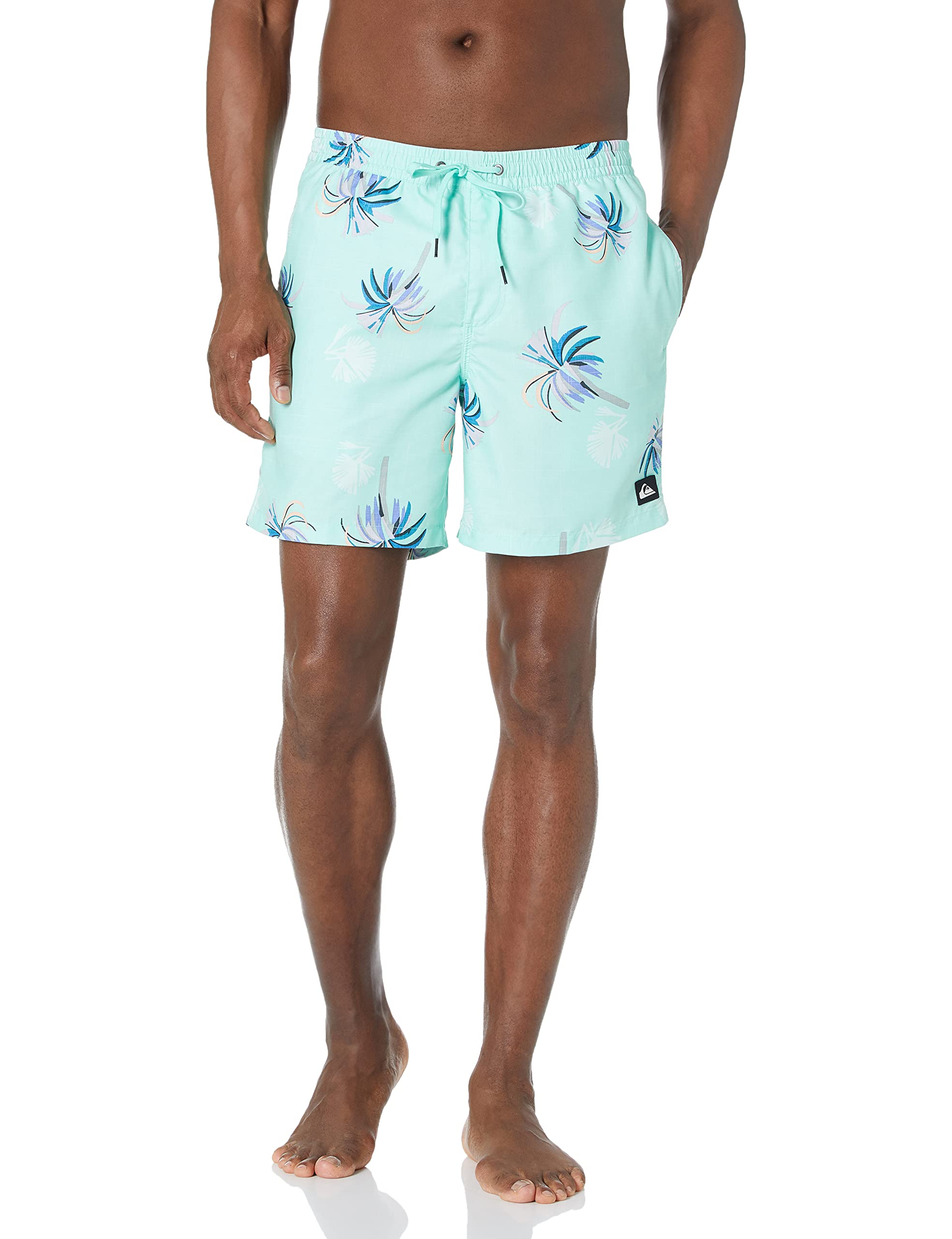 Quiksilver Mens Standard 17 Inch Elastic Waist Swim Trunk Bathing