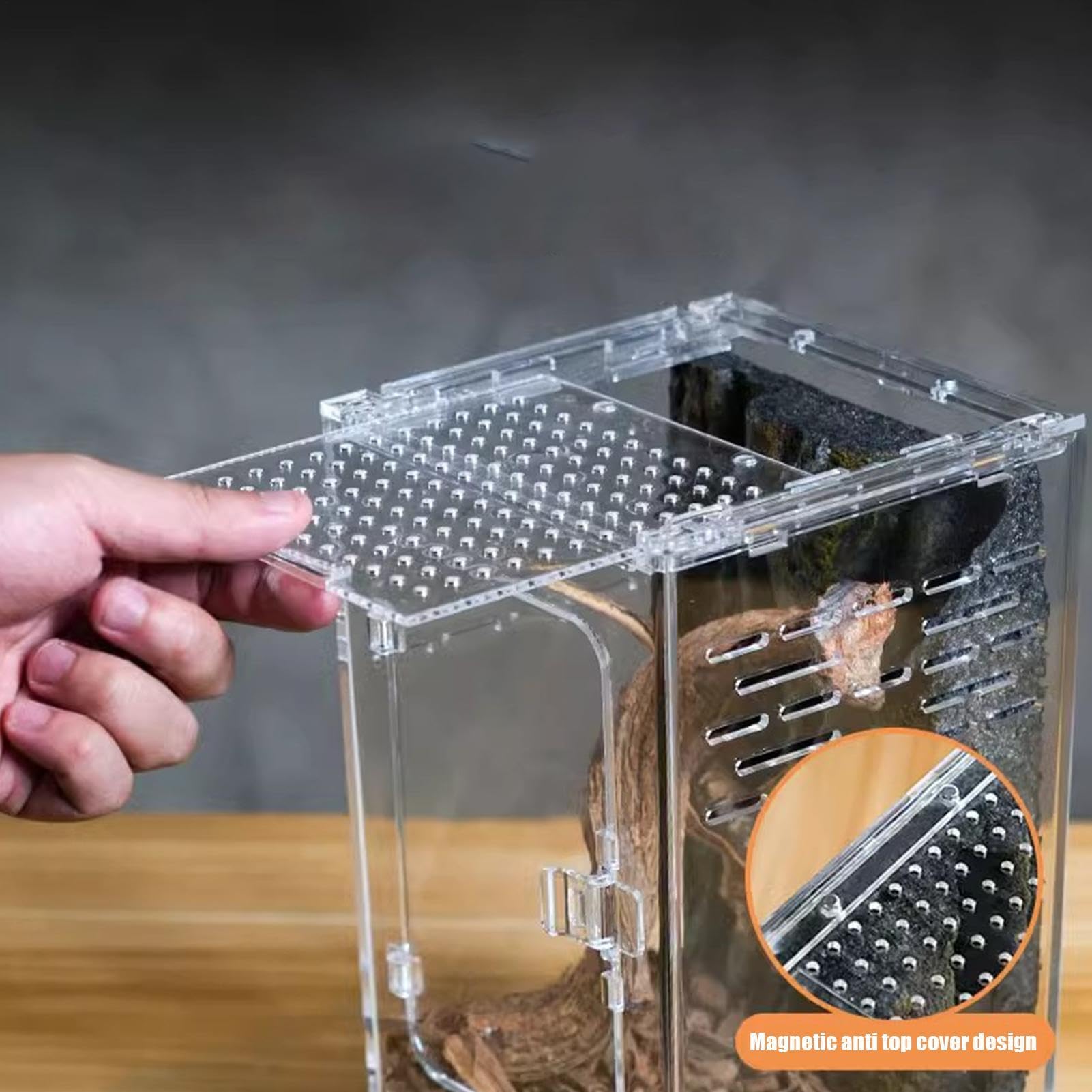Terrarium skaczące pająki – akrylowe terrarium z pełną przejrzystością | mały wybieg dla gadów jako przestrzeń życiowa, do