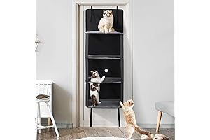 HOMBYS: Doorway Delight for Feline Frolic