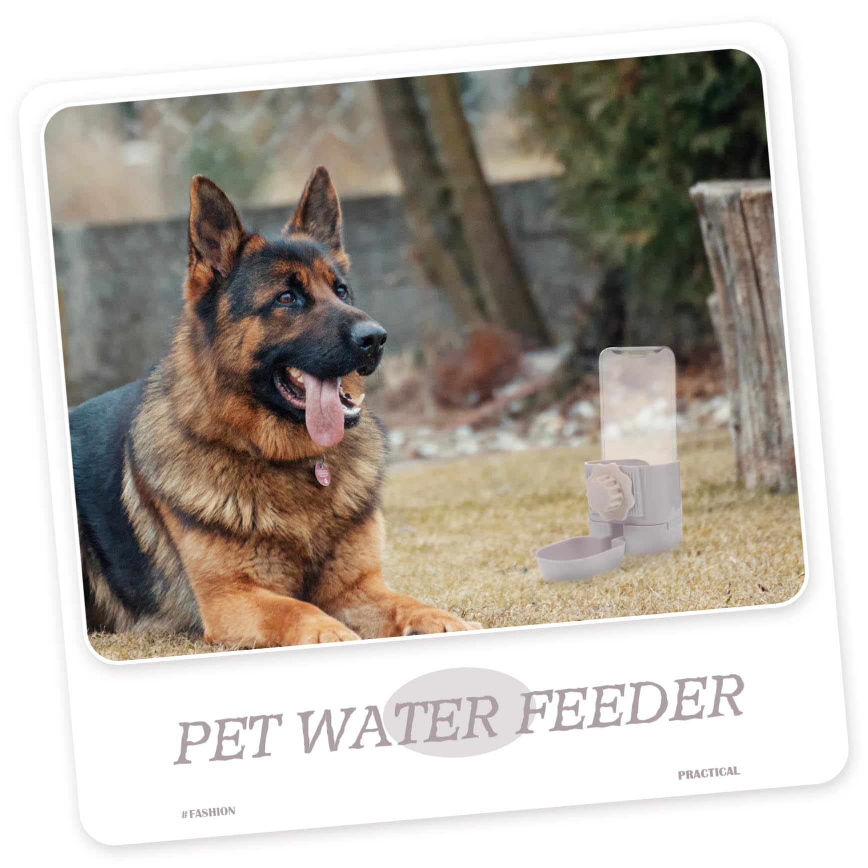 FRCOLOR 3 Pz Bevitore a Gabbia Sospesa Distributore di Cibo per Cani Mangiatoia per Conigli Bottiglia d'Acqua per Porcellini D'india Gabbia per Animali Domestici Sospeso Pp Attrezzo