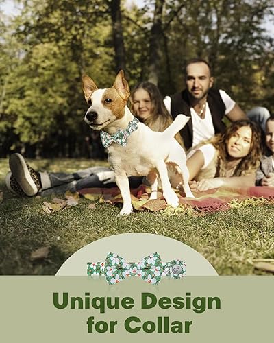 Miniatura 4 de MIDOG AirTag - Collar de perro de moda para perros pequeños, medianos y grandes, con funda de soporte para AirTag, collar ajustable de nailon suave