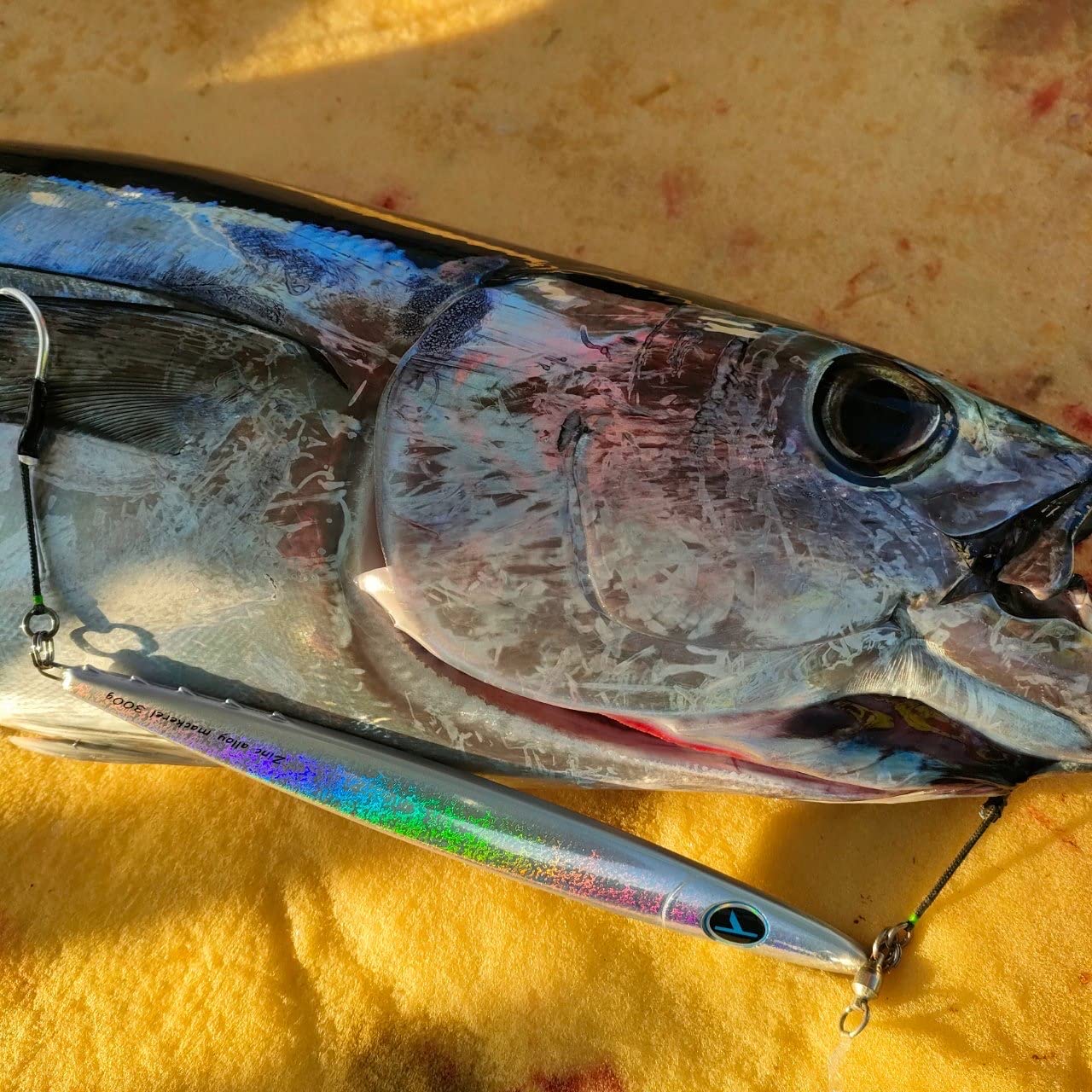 Amazon.co.jp: Take's 亜鉛合金ジグmackerel（マックロウ