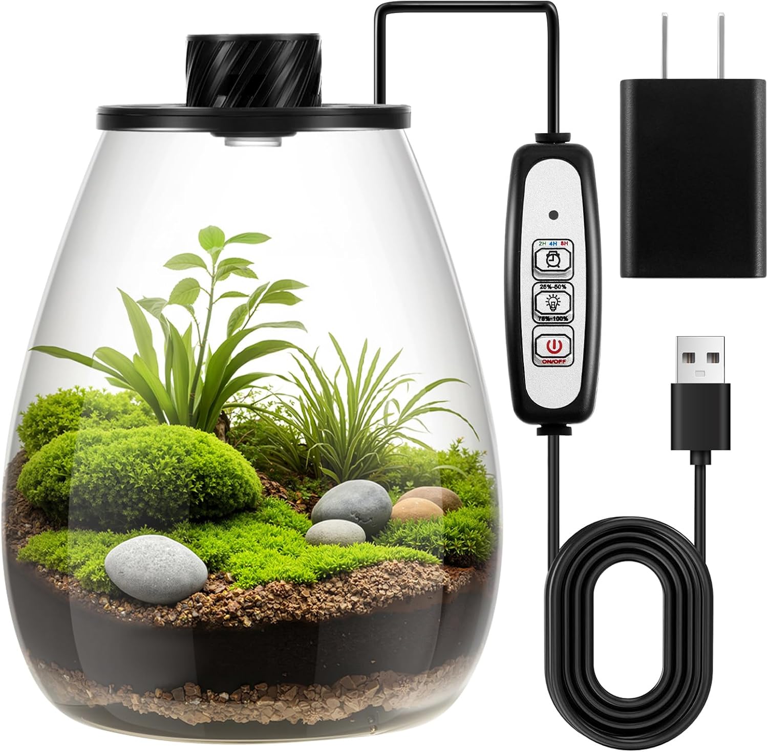 Maxdot Glass Plant Terrarium Kit with Light for Succulent, Moss, Miniature Gardening Landscape, Betta Fish Tank, Office Home Decoration, Plant Lovers Gifts (7.9 x 3.9 Inch)