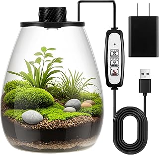 Maxdot Glass Plant Terrarium Kit with Light for Succulent, Moss, Miniature Gardening Landscape, Betta Fish Tank, Office Home Decoration, Plant Lovers Gifts (6.9 x 7.8 Inch)