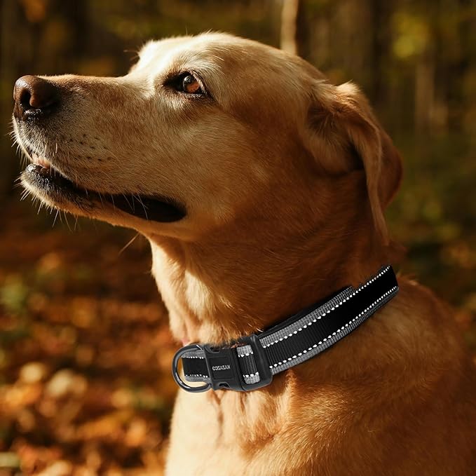 Collar Reflectivo Kazazoo para Perros Medianos, Nailon Acolchado miniatura 2
