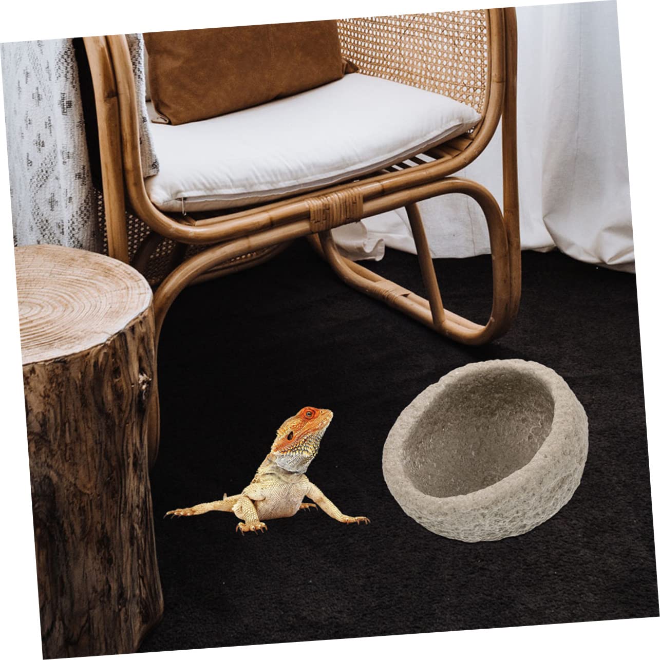 Miska na wodę dla gadów Miska do karmienia gadów, 2 szt. miska na wodę dla gadów, brodata agama, miska do karmienia gadów, kokarda do terrarium, karmnik dla gadów, miski na jedzenie dla gadów, terrari