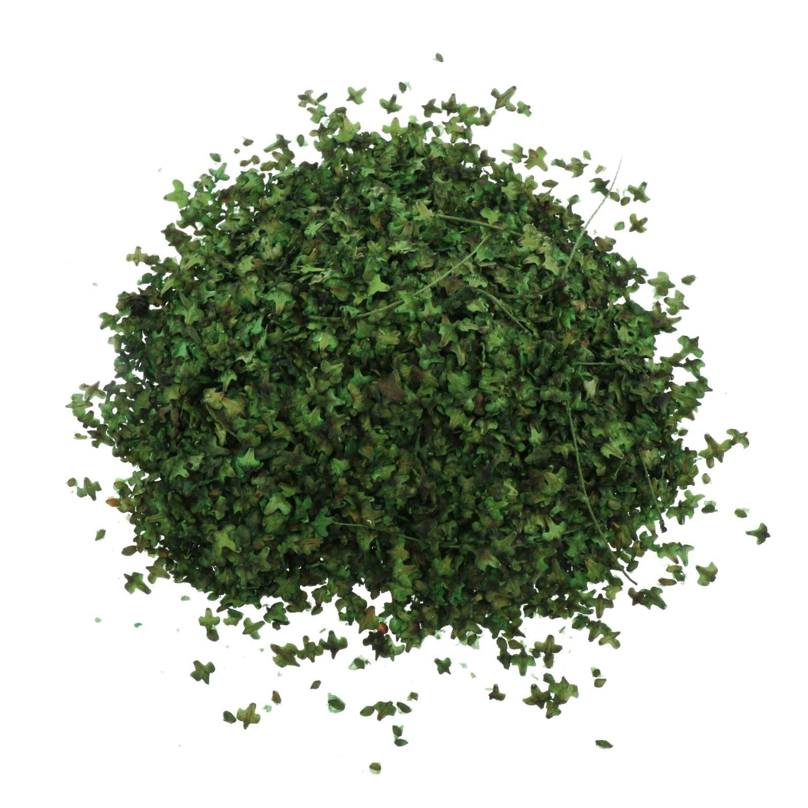 View 6