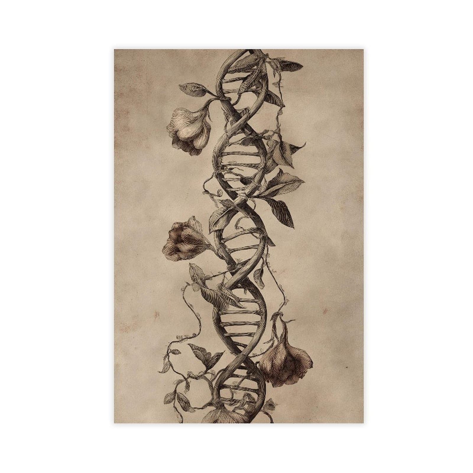 YWTJAX Vintage Botanical DNA Poster Canvas Poster for Office Decor Gift