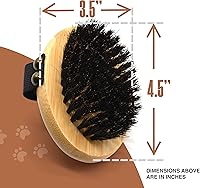 Vista 3 de The Buddy System Cepillo Cercano para Mascotas, Cepillo de Palma Ovalado de Tacto Suave - Masaje de Bambú Portátil con Cerdas Suaves de Jabalí