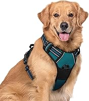 Vista 65 de rabbitgoo Arnés para perro, arnés sin tirones para mascotas con 2 clips para correa, chaleco acolchado suave ajustable para perro, chaleco Oxford