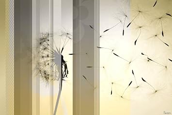 Parvez Taj 18 by 12-Inch Dandelion Canvas Ready to Hang Artwork