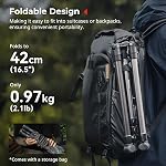 SMALLRIG 74.8"/ 190cm Light Stand, Max Load 4kg, Compact Tripod Stand for Flashlights, Ring Light, LED/RGB Video Lights, COB Light, Foldable & Adjustable Lighting Stand, Folded Size 16.9"/ 43cm -5475