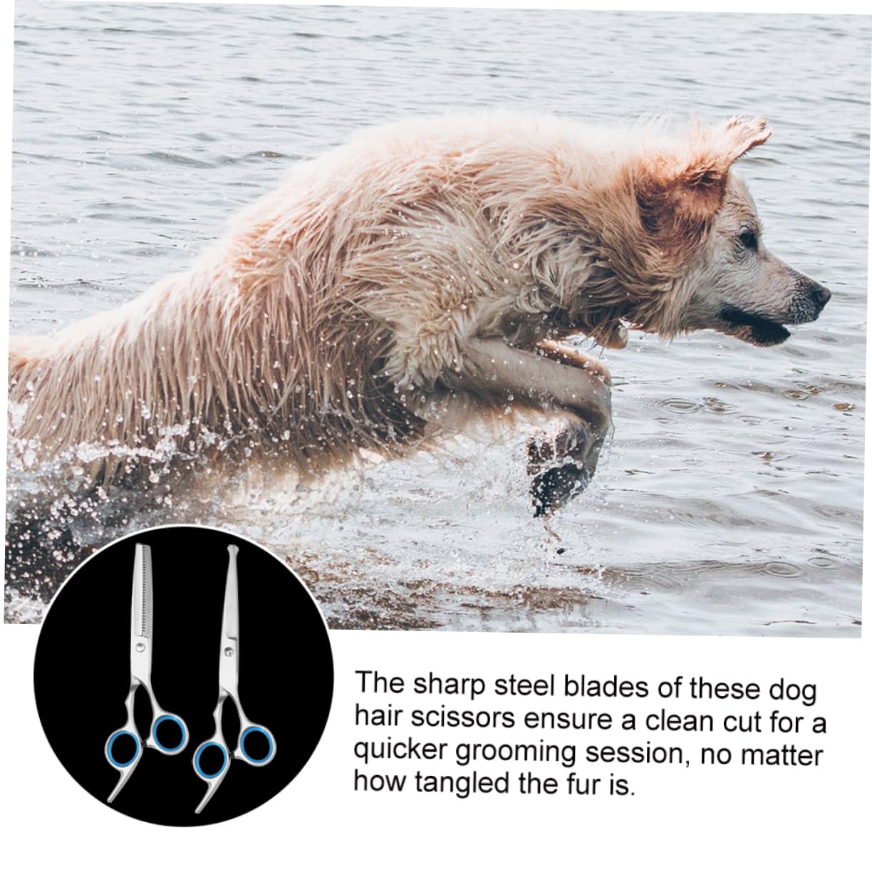 VANZACK Pet Grooming Scissors Set 2pcs Dog Cat Trimming Scissors Sharp Stainless Steel for Quick Grooming