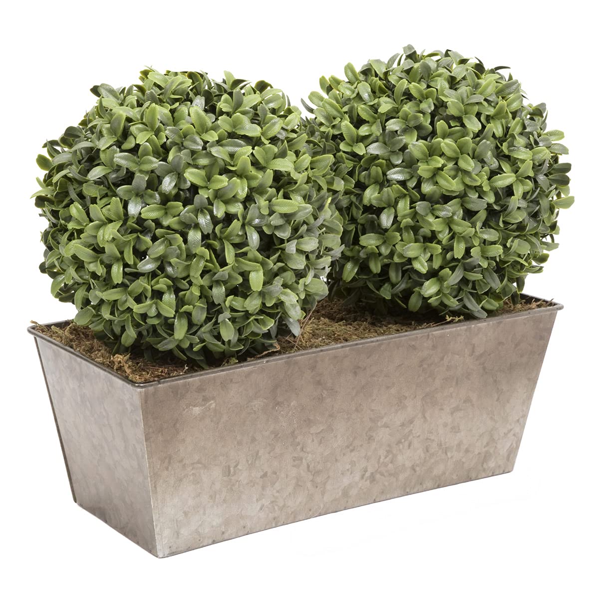 GreenBrokers Artificial Topiary Aglaia Boxwood (35cm) Window Box tin Planter, Double Ball Rustic