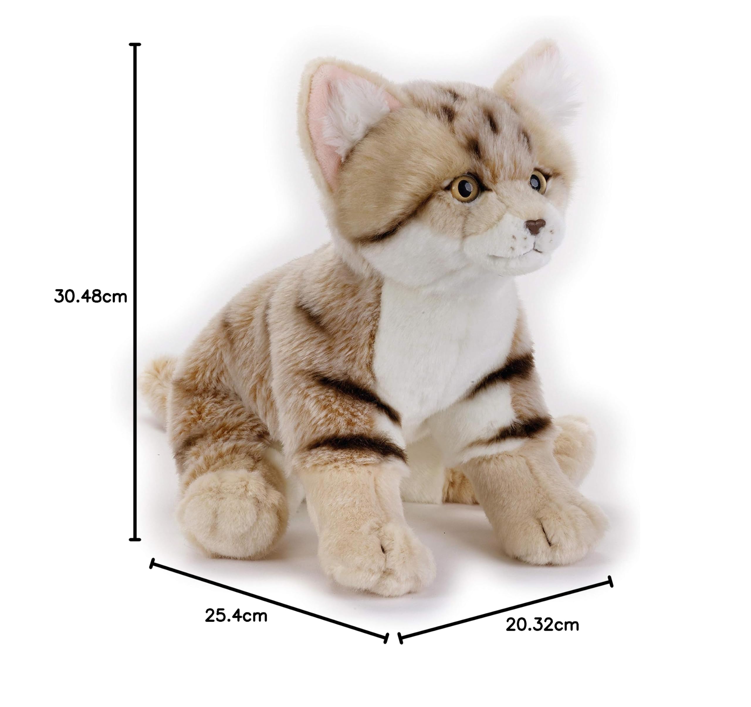 Ngs Sand Cat Plush Cats, Multi-Colour, 8004332706717