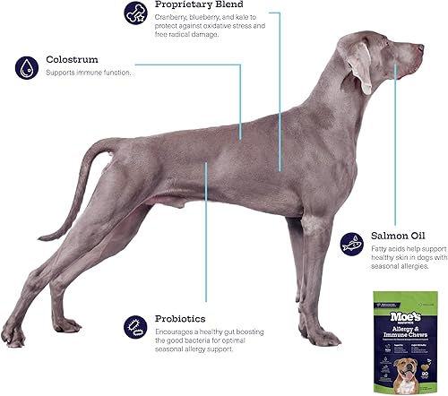 Miniatura 6 de Moe's - Soporte para alergias e inmunitarios para perros, ayuda a prevenir la picazón, las alergias estacionales y la inmunidad, aceite de pescado