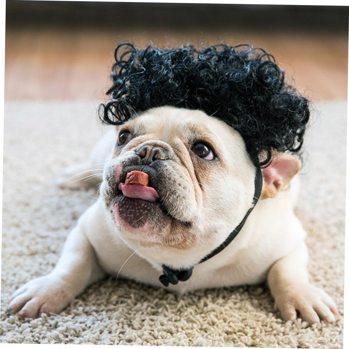 BESPORTBLE Adorable Pet Wig for Dogs Funny Costume Headwear Comfortable and Durable Hair Accessory for Cosplay Parties and Photo Shoots Eye Catching Design Black