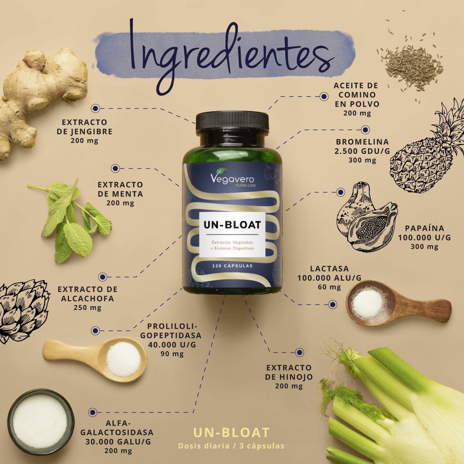 Vegavero Un-Bloat | Complejo de Enzimas Digestivas para Gases e Hinchazón Adultos | 120 Cápsulas | con Bromelina, Papaína, Lactasa, Alfa-d-galactosidasa | Vegano y Sin Aditivos