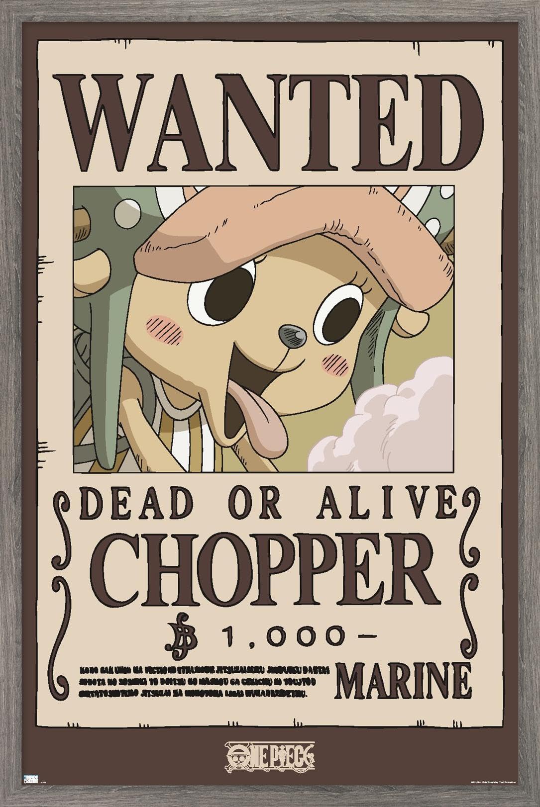 Amazon.com: One Piece - Chopper Wanted Poster Wall Poster, 34L