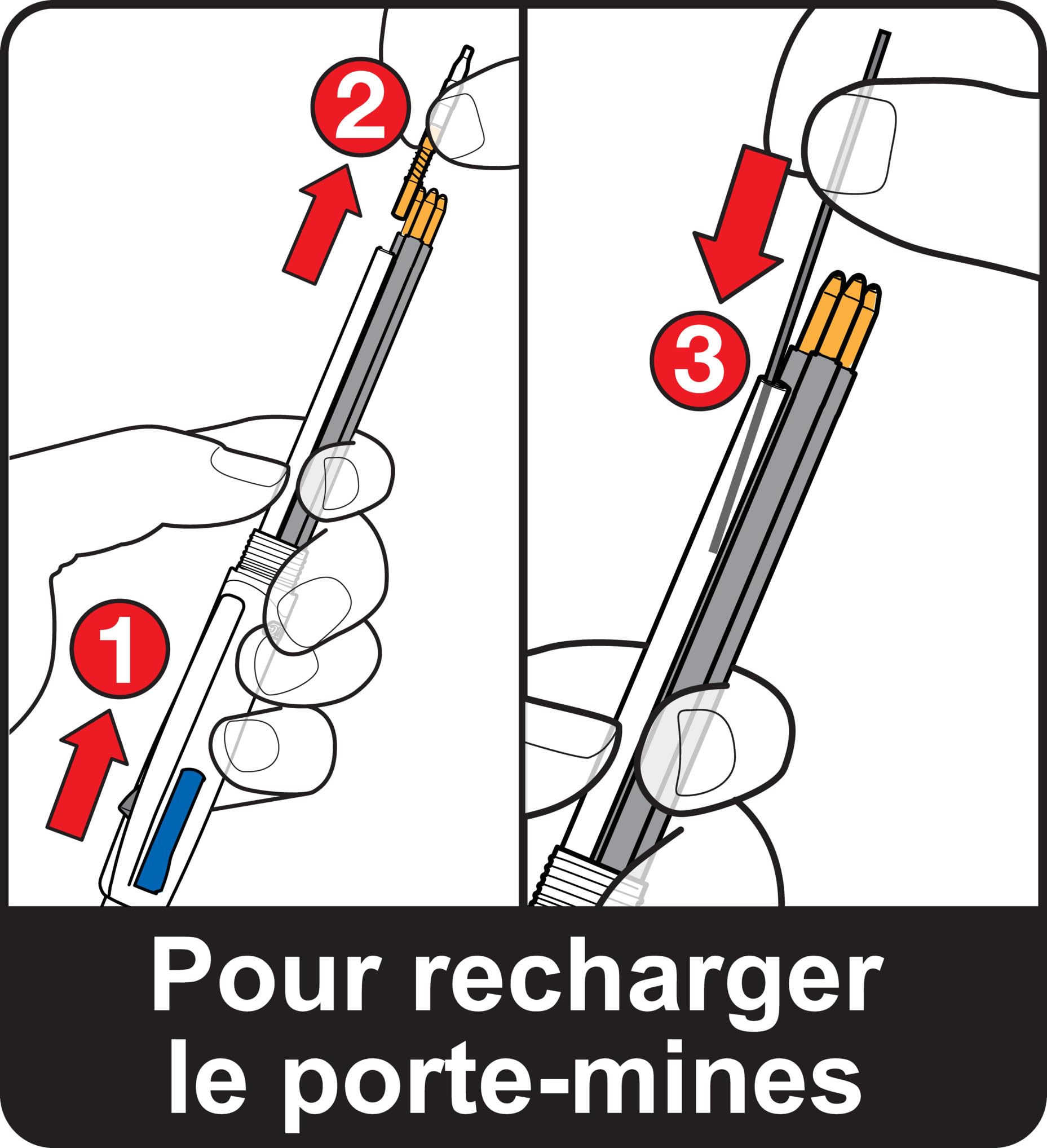 BIC 4 Couleurs 3+1HB Stylos-Bille Rétractables Pointes Moyennes (1,0 mm) et Porte-Mines - Boîte de 12
