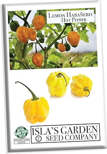 Semillas de pimiento picante Habañero de limón para plantar, más de 25 semillas de reliquia por paquete, semillas de jardín de Isla (semillas de