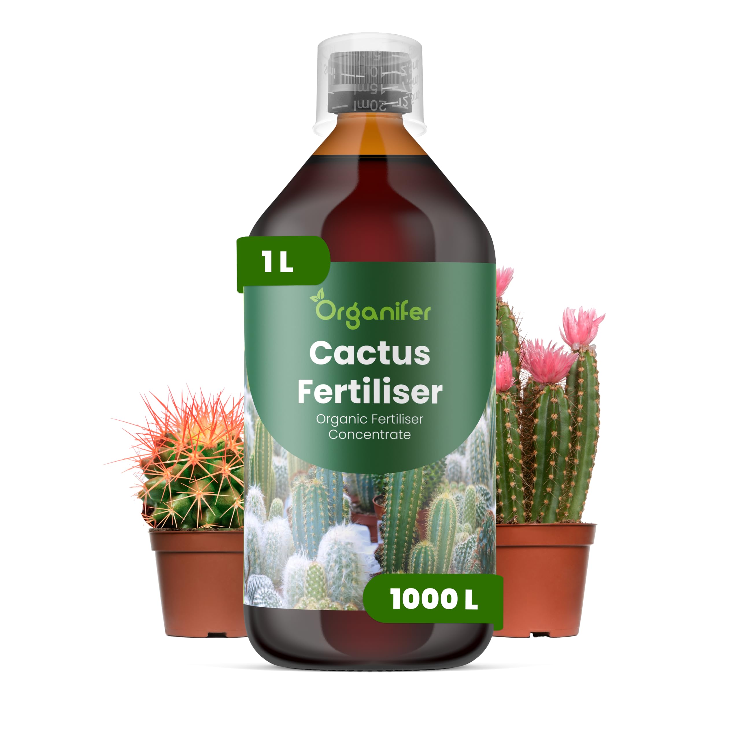 Engrais Liquide pour Cactus, 1L, Organique, Favorise Croissance et Résistance à la Sécheresse