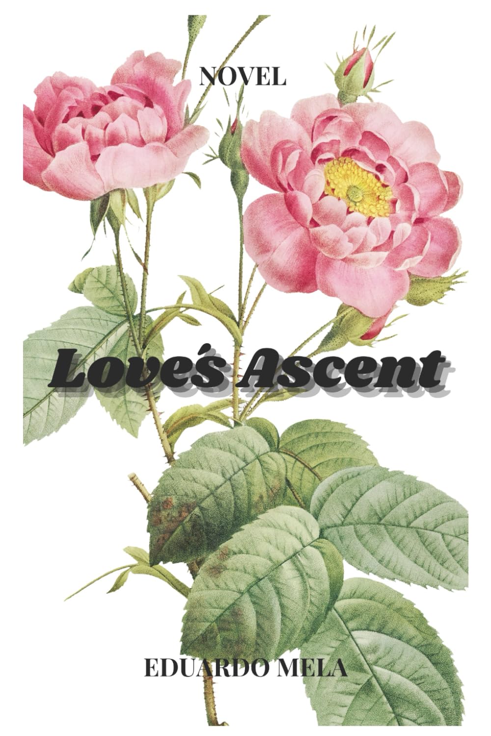 Love’s Ascent: Novel