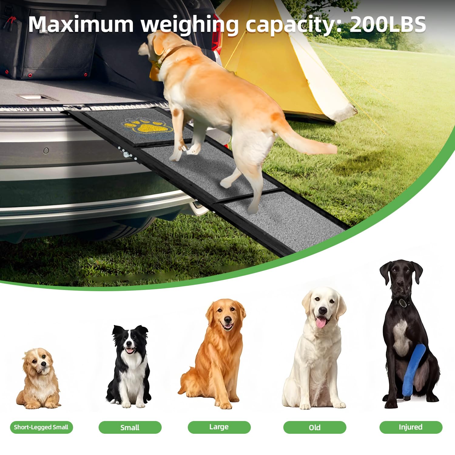 Rampe pour chien pliable extra longue 170 cm antidérapante pour voiture SUV camion canapé lit