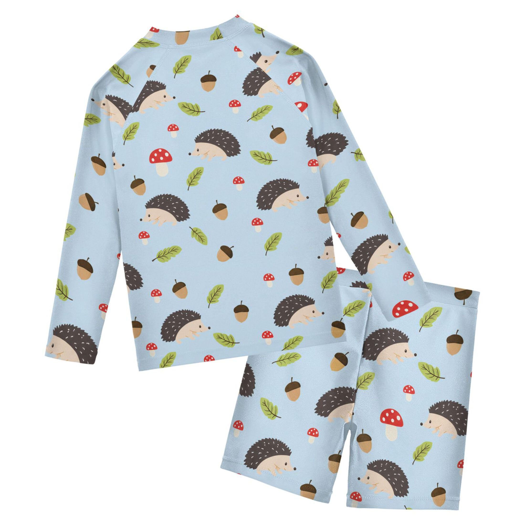 Cute Hedgehogs Boys Rash Guard Swimsuits Set for Boys Long Sleeve Swim Shirts Bathing Suits with Trunks B0404934