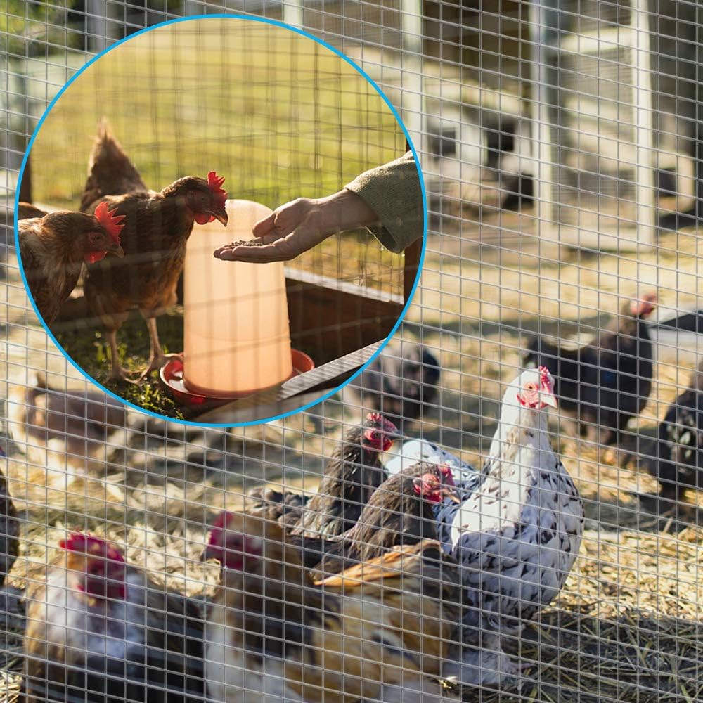 One-Day Sale: Up to 70% Off AMAGABELI GARDEN & HOME 1/4 Hardware Cloth 36 x 50 23Gauge Galvanized After Welded Wire Metal Mesh Roll Vegetables Garden Rabbit Fencing Snake for Chicken Run Critters Gopher Racoons Cage Wire Black Friday - 70% OFF AMAGABELI GARDEN & HOME 1/4 Hardware Cloth 36 x 50 23Gauge Galvanized After Welded Wire Metal Mesh Roll Vegetables Garden Rabbit Fencing Snake for Chicken Run Critters Gopher Racoons Cage Wire