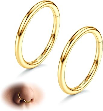 10 Pezzi Anelli Per Piercing Naso E Orecchio - Acciaio Chirurgico 316L, Misure 16G/18G/20G, Oro E Argento