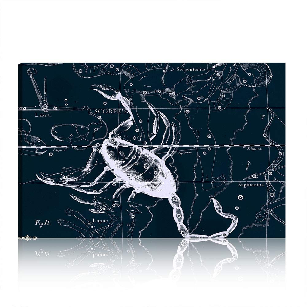 Art mural Scorpion toile de peinture abstraite encadrée luxe