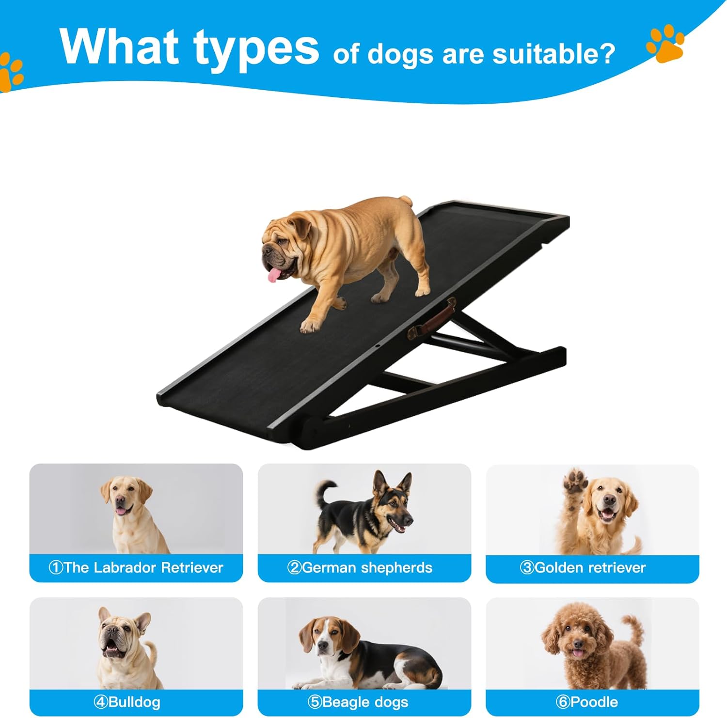 https://m.media-amazon.com/images/I/71pCVu9l19L._AC_SL1500_.jpg