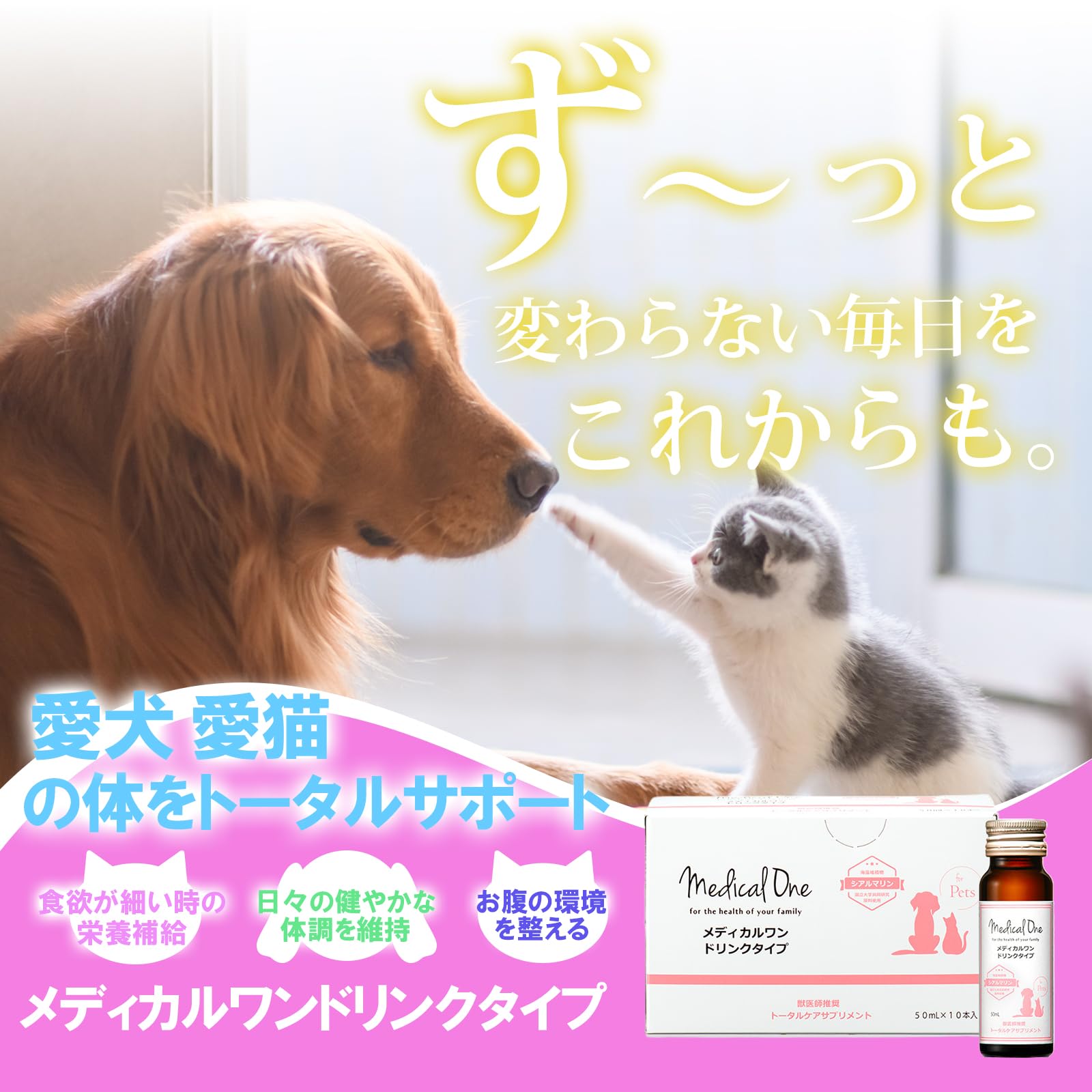 Amazon.co.jp: 猫用 犬用【腎臓 食欲 腸内環境】獣医師推奨メディカル