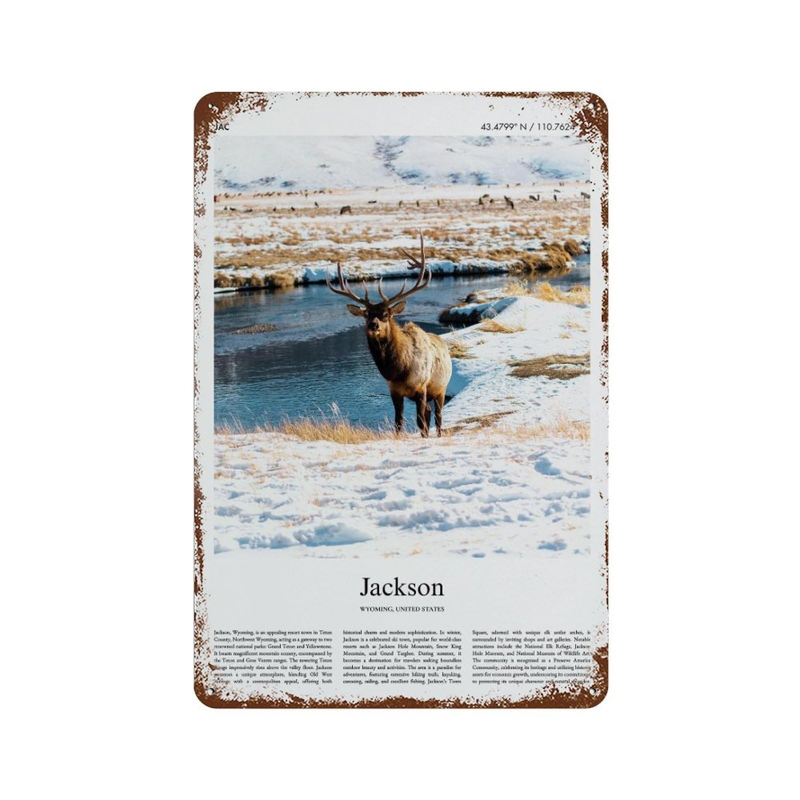 xiaoxiaoshen Jackson Wyoming, United States, USA City Scenery Wall Decor Art Metal Tin Poster Modern Home Decor Art Home Bar Shop Decorations Vintage Sign 30x20cm