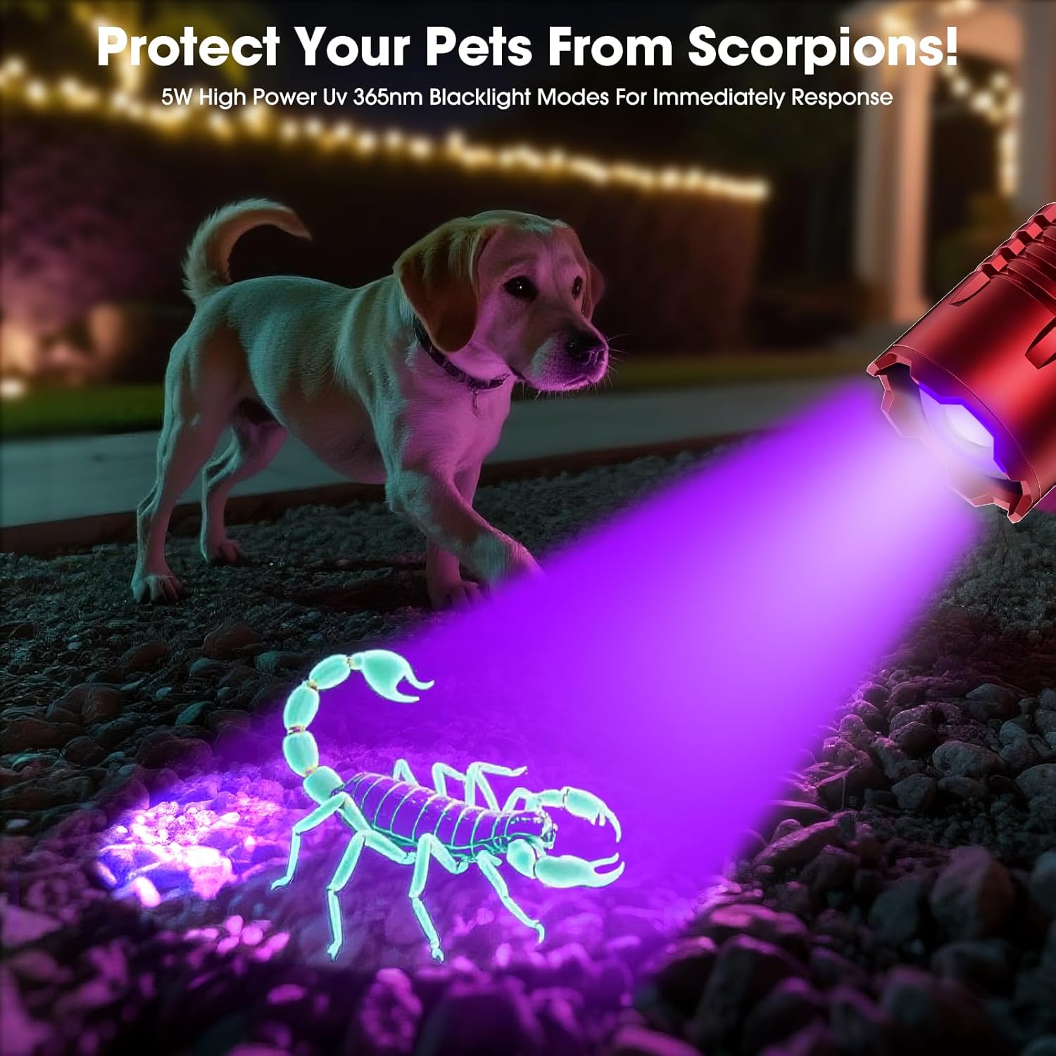 Powerful Blacklight Flashlights for Pet Urine Detection, UV Blacklight&High Lumens Flashlight Rechargeable, Zoomable Waterproof Tactical LED UV Flashlight for Resin Curing, Scorpion, Camping, Red