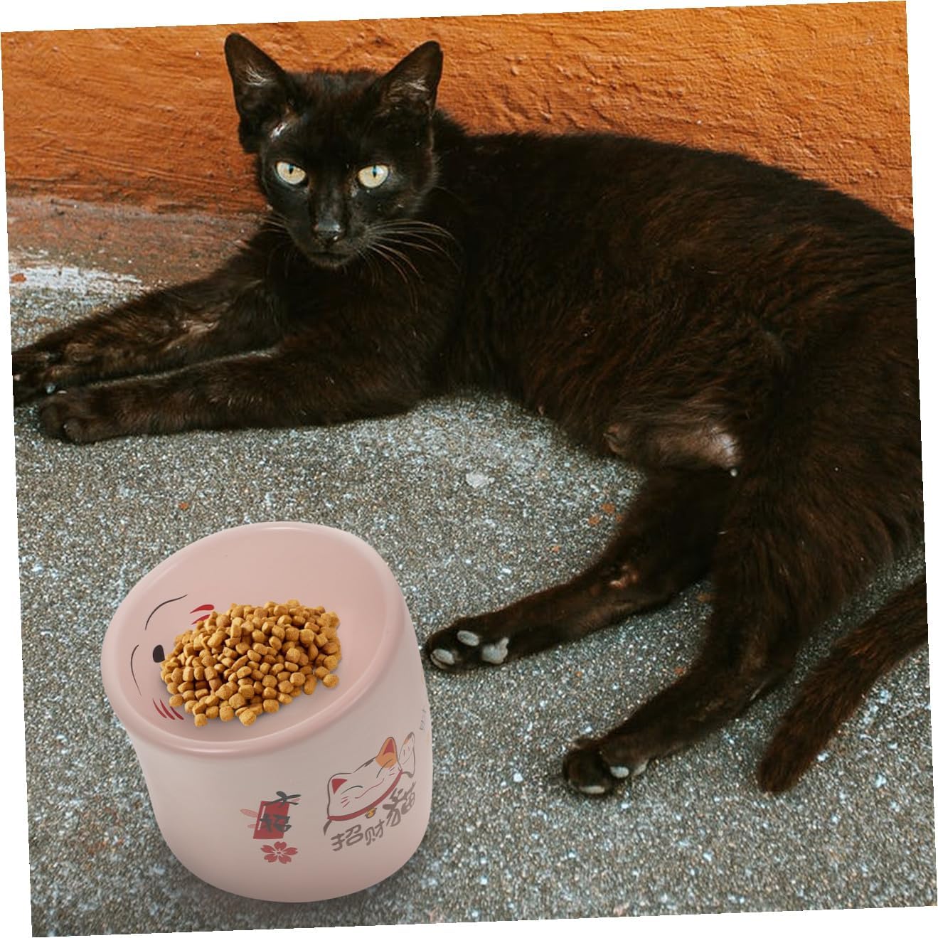 balacoo 1pc Non- Elevated Ceramic Cat Bowl Tilted Design for Comfortable Feeding Drinking Easy to Pet Dish for Cats Puppies Spill Resistant Base