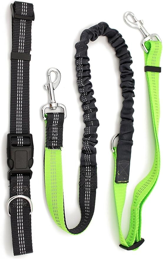 Retractable Hands Free Dog Leash For Small And Medium