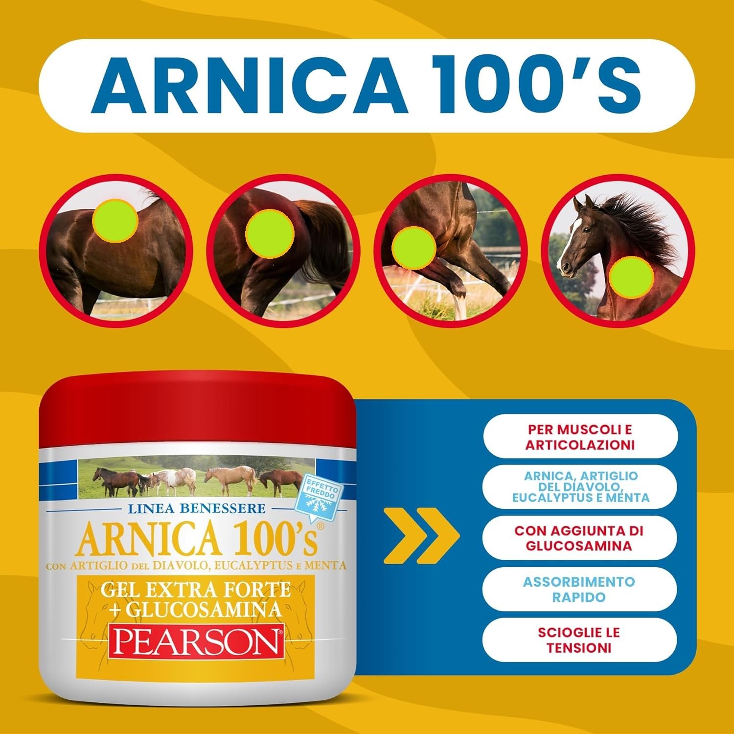 ARNICA 100'S - Arnica per Cavalli, Gel Extraforte Raffreddante Pearson. Crema Arnica Gel Forte con Artiglio del Diavolo e Mentolo. Pomata Defaticante e Rilassante (Arnica + GLUCOSAMMINA, 500 ML)