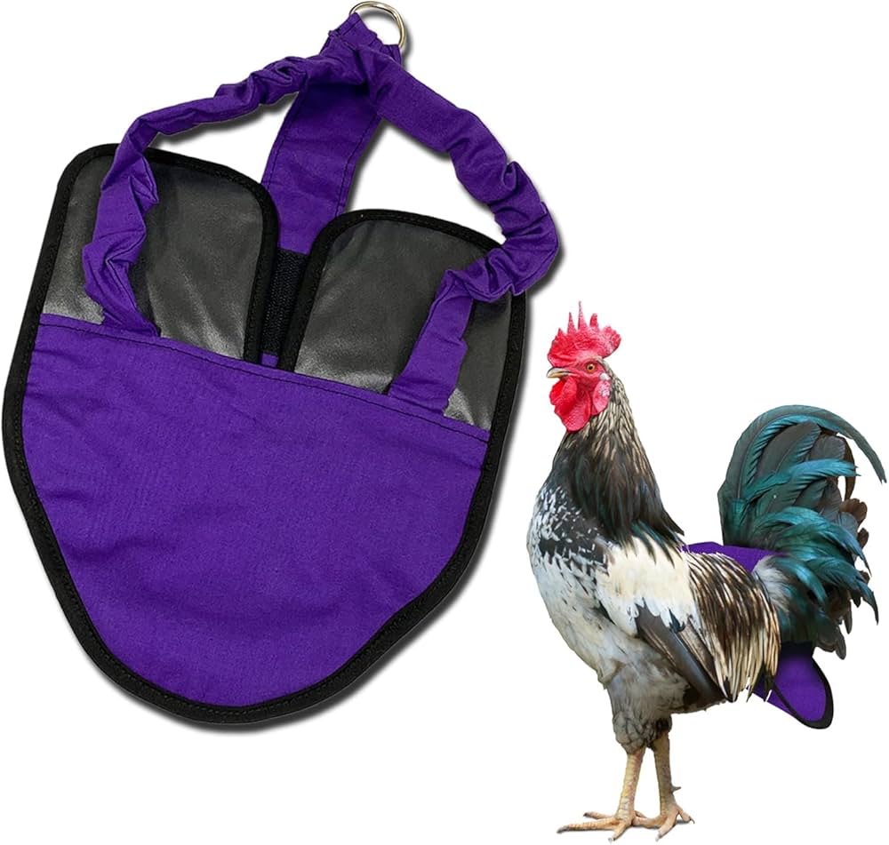 What Size Harness for Bantam Cochin Rooster? Find the Perfect Fit!