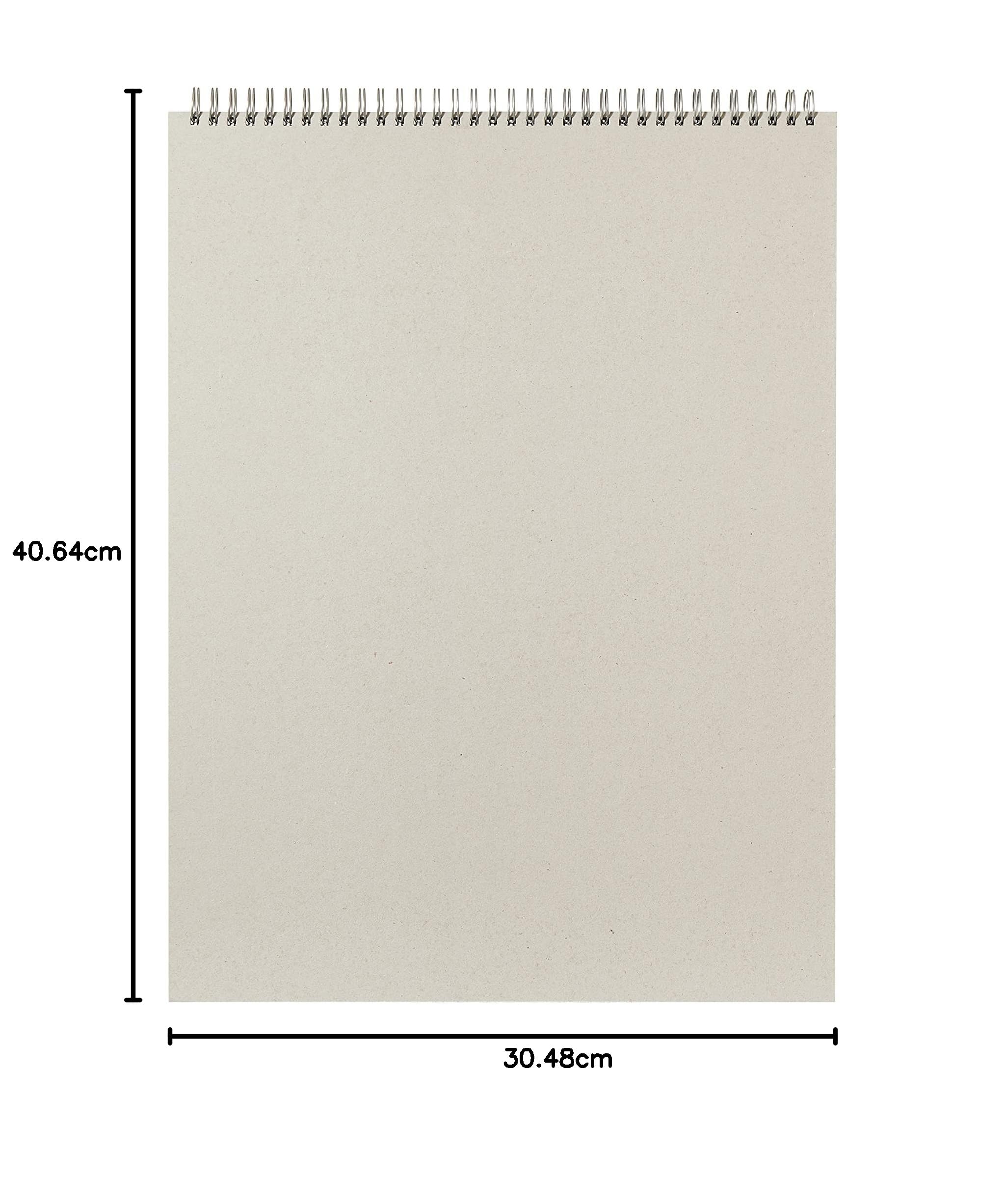 Daler-Rowney Ingres Bloc de Papier à Spirale 16 g/m² 40,6 x 30,5 cm Pastel Texture Vernie 6 Couleurs Assorties 24 Feuilles Idéal pour Les Artistes Professionnels