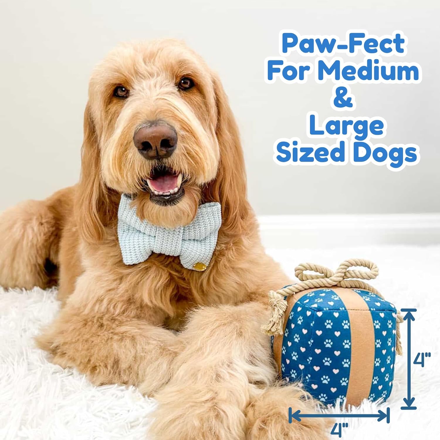 PUPROAR Guitar & Gift Box Dog Toy Bundle: Perfect Birthday Toy and Holiday Dog and Puppy Gift
