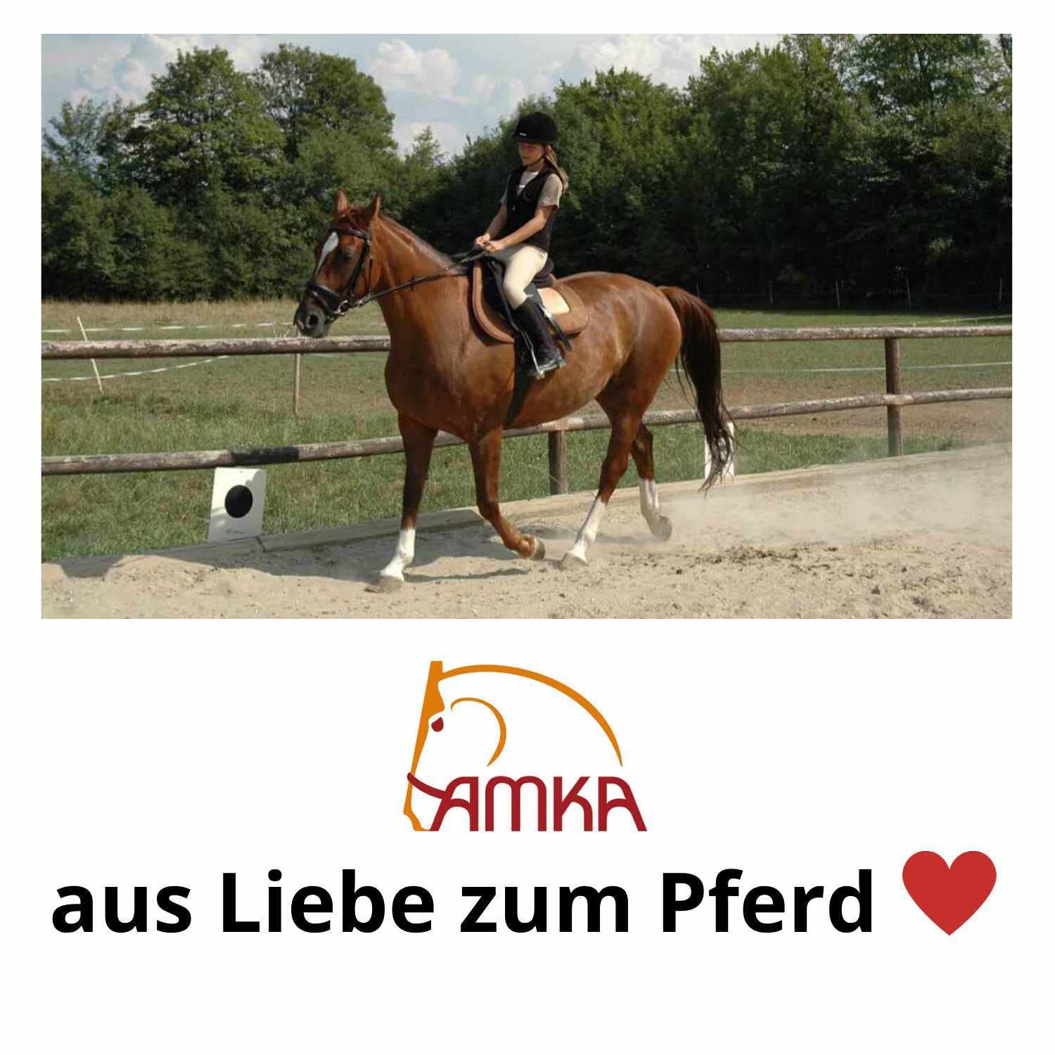 AMKA Staffa con giunto, blu scuro, staffa di sicurezza, flessibile, per stirrups Horse Riding