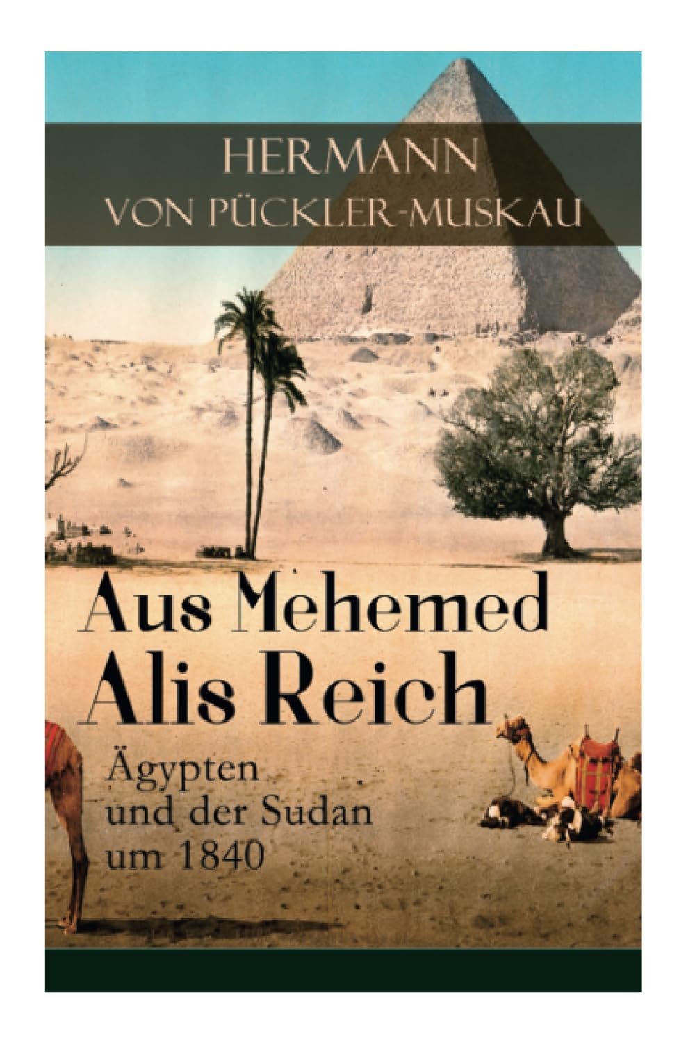 Aus Mehemed Alis Reich: Ägypten und der Sudan um 1840 (German Edition)