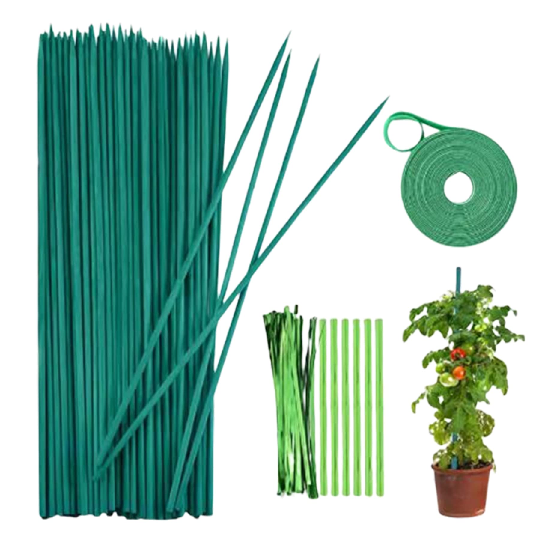 Bâtons de support de qualité supérieure pour plantes tiges de bambou 38 cm et finitions vertes