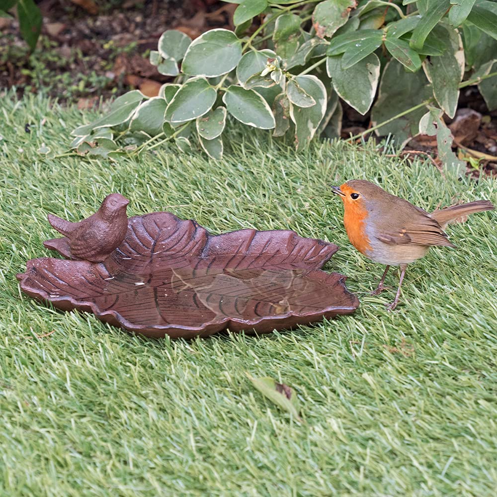 Jacobi Jayne OI-BB Baignoi à Oiseaux en Fer Bronze