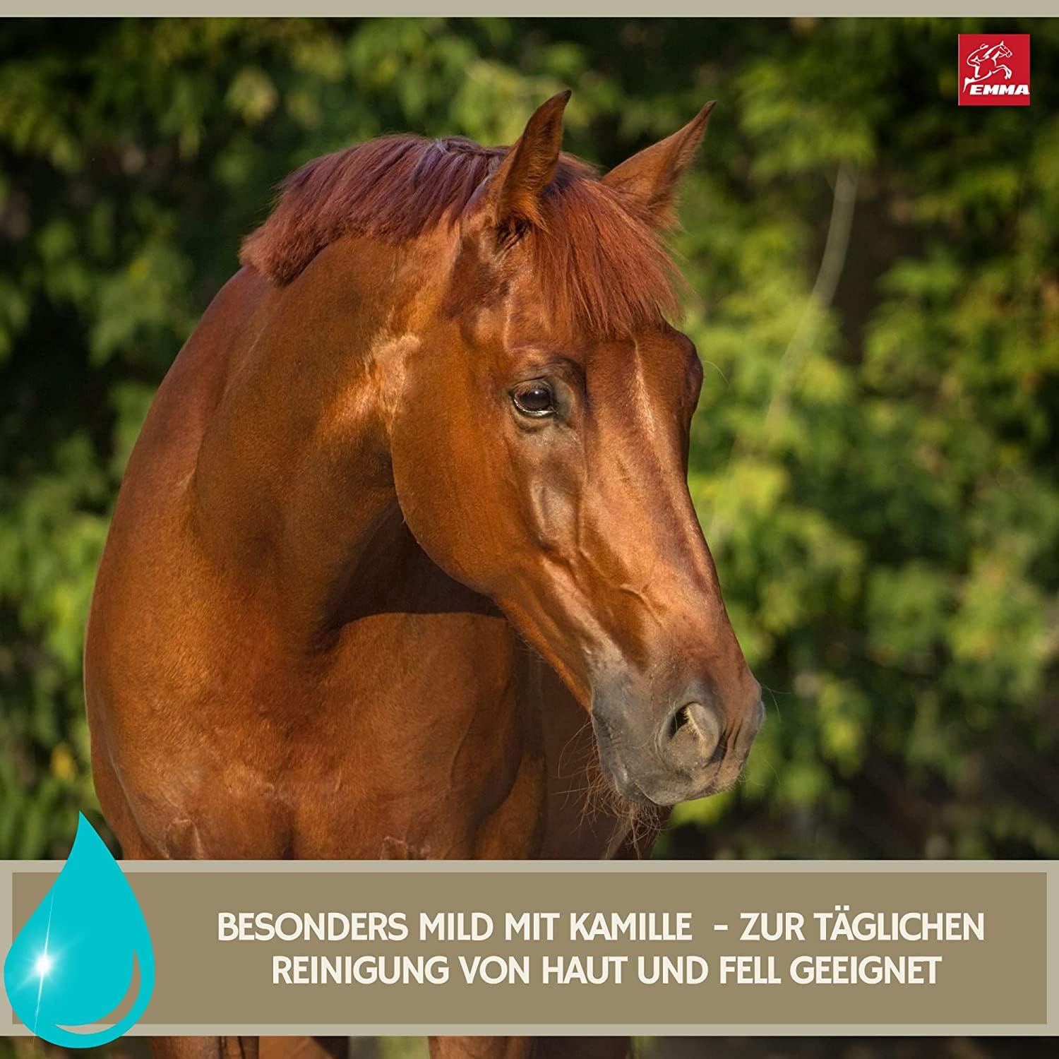 Mähnenspray für Pferde Set 6 Teile mit Mane n Tail Shampoo Sattelseife Leder Huffett Pferde Pferdeleckerlis Schwamm – Pferdepflege Set Kinder – Putzzeug Pferdepflege Pony – Pferde Mädchen Geschenk