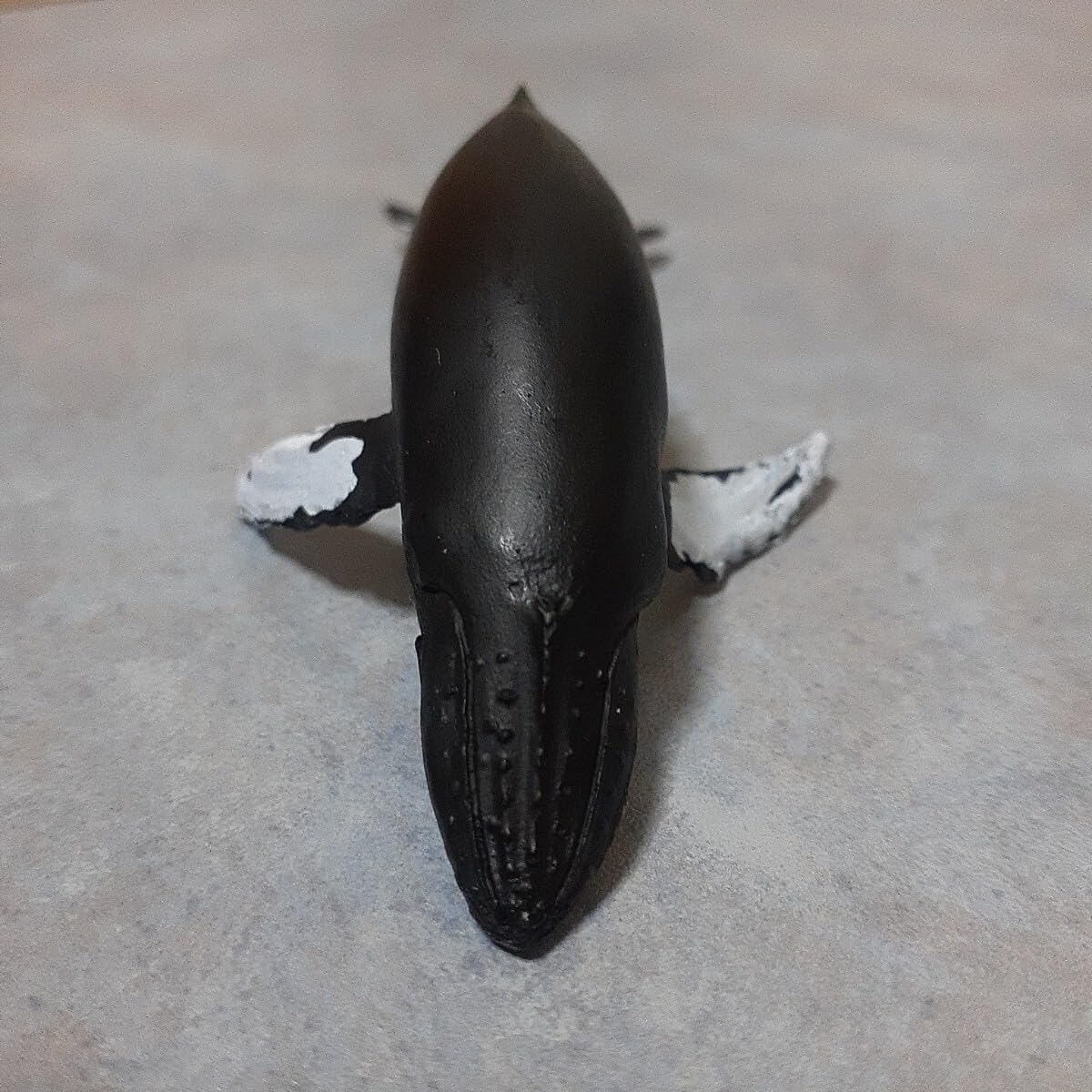 Amazon.co.jp: 海洋堂 アクアランド ザトウクジラ : おもちゃ