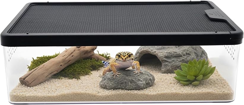 Small Reptile Terrarium, Escape Proof Enclosure 12.68.73.9 in | Clear Viewing Habitat for Hermit Crabs Isopods and Beetles, Tarantula Gecko Praying Mantis Feeding Box, Breeding Habitat
