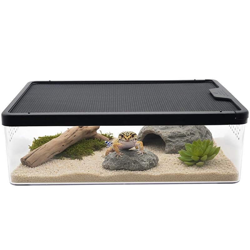 Terrário para pequenos répteis e invertebrados em plástico Garavigo 32 x 22,1 x 9,9 cm